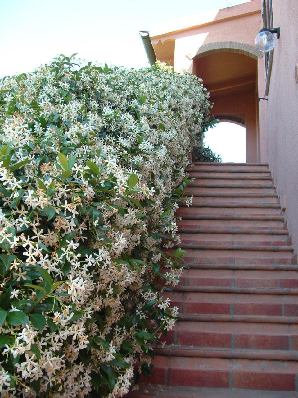 Alloggio per agriturismo Pian Dei Pini