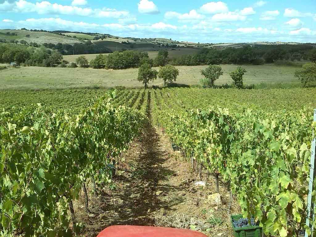 Pian Dei Pini Alloggio per agriturismo
