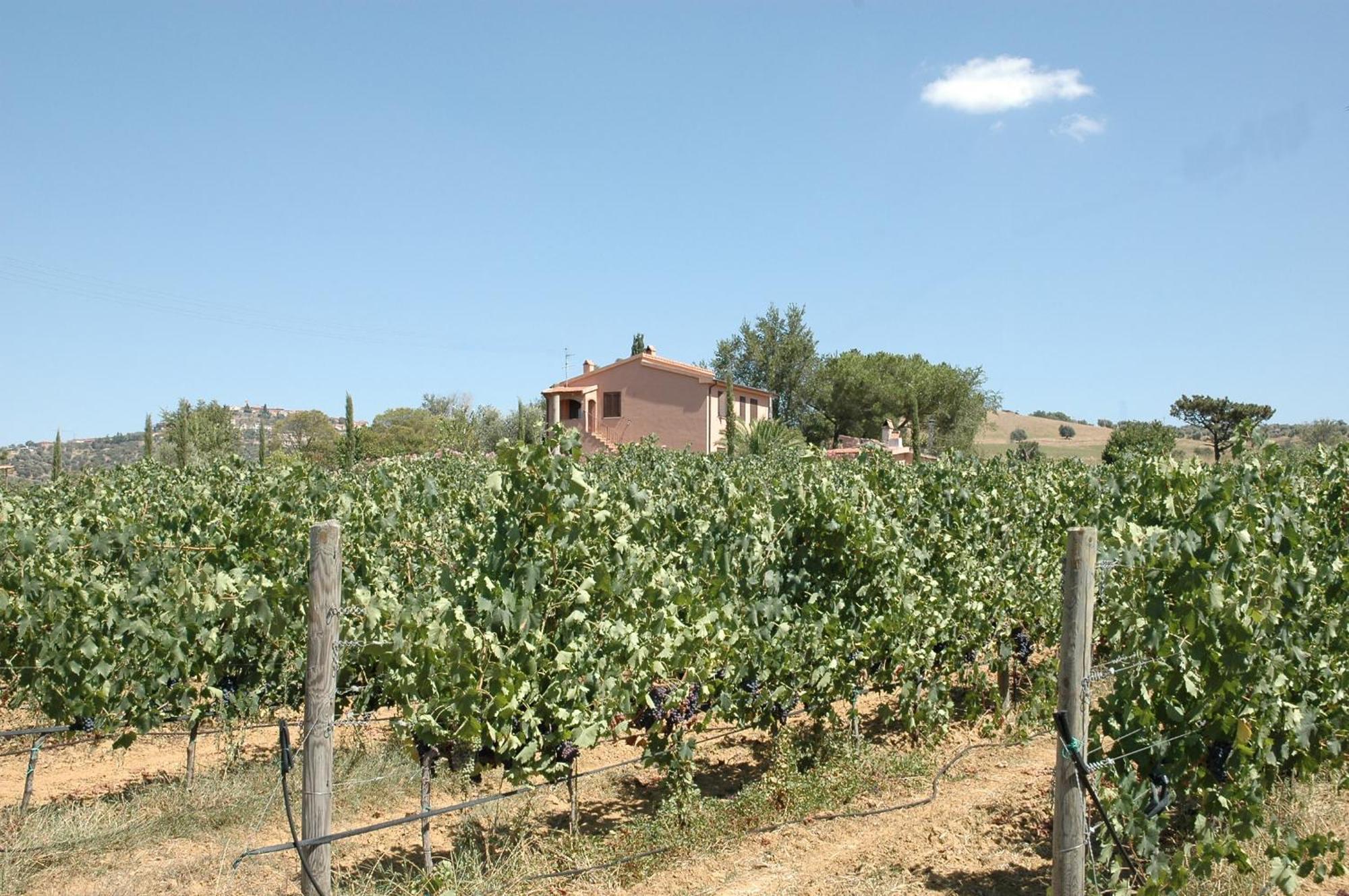 Pian Dei Pini Bauernhof