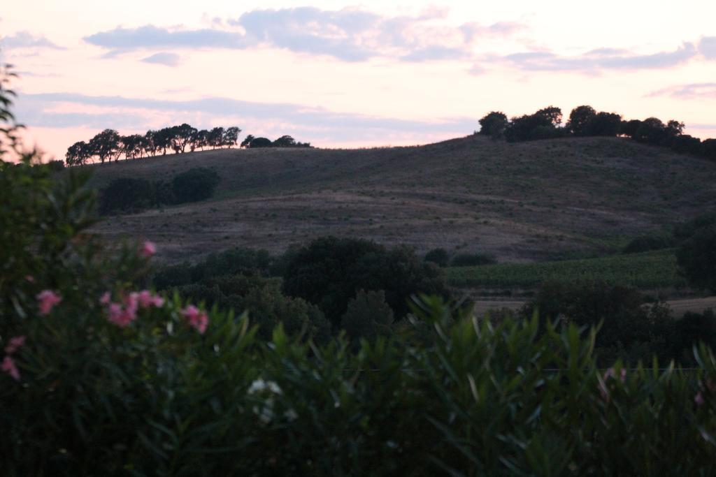 Pian Dei Pini *